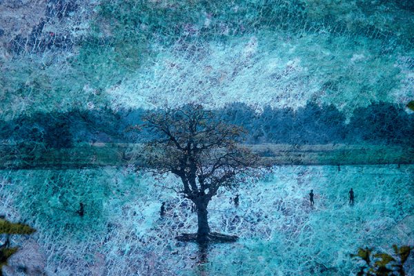 Árbol del lago sobre fondo azul